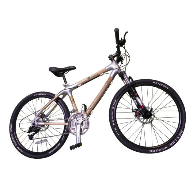 Bamboo Mountain Bicycle